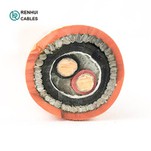 BS5467 SWA/PVC כבל IEC 60502 600/1000V